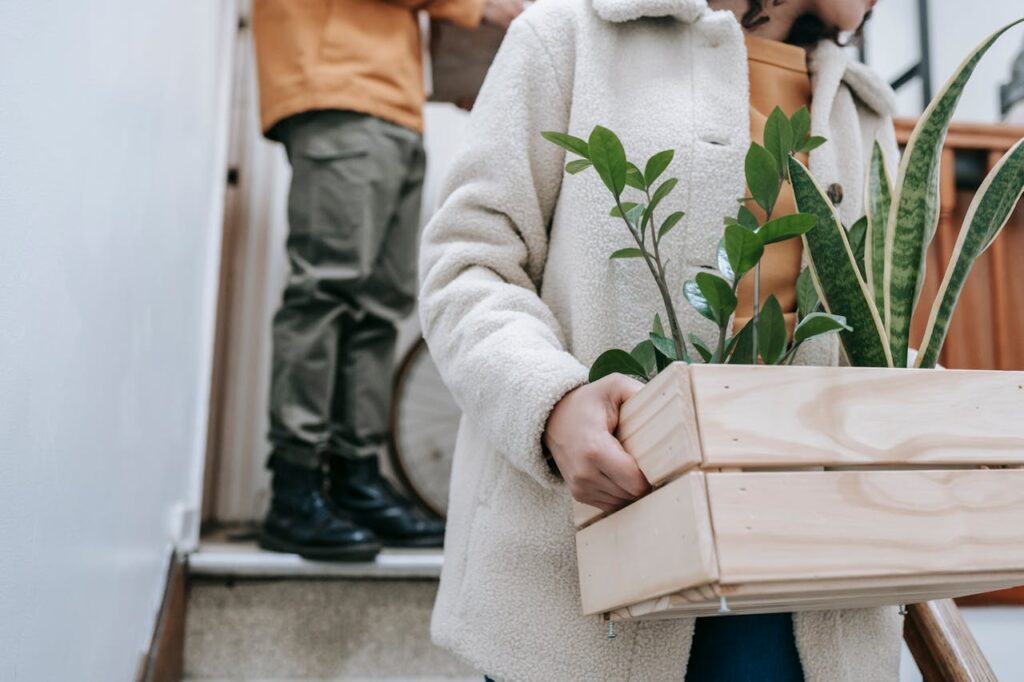 woman carrying plant in a wooden box